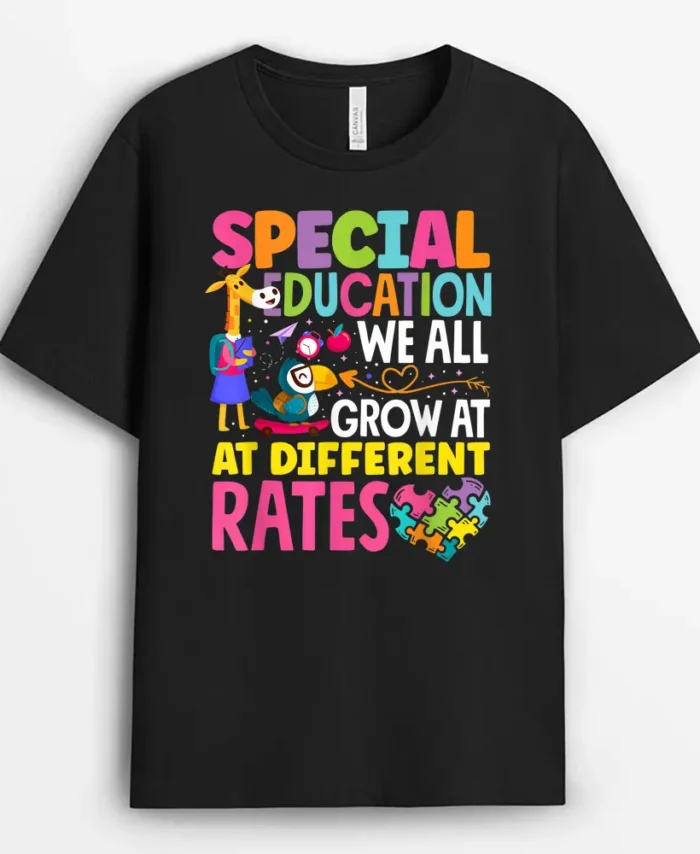 Paraeducator Paraprofessional SPED Teacher Special Education T-Shirt - Black